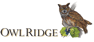 Owl Ridge Logo